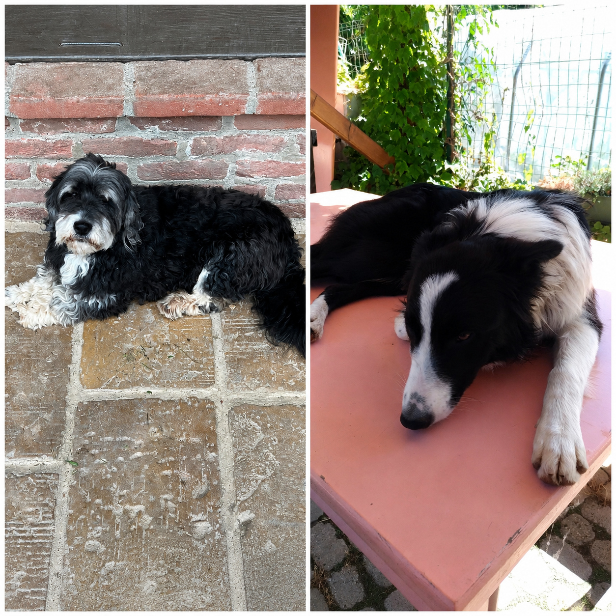 Agriturismo 'L Perol – Az. Agr. 'L Brusc e 'L Bast - Moiola (CN)